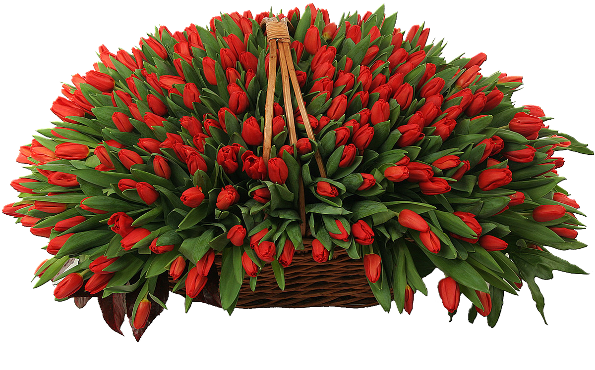 букет.png