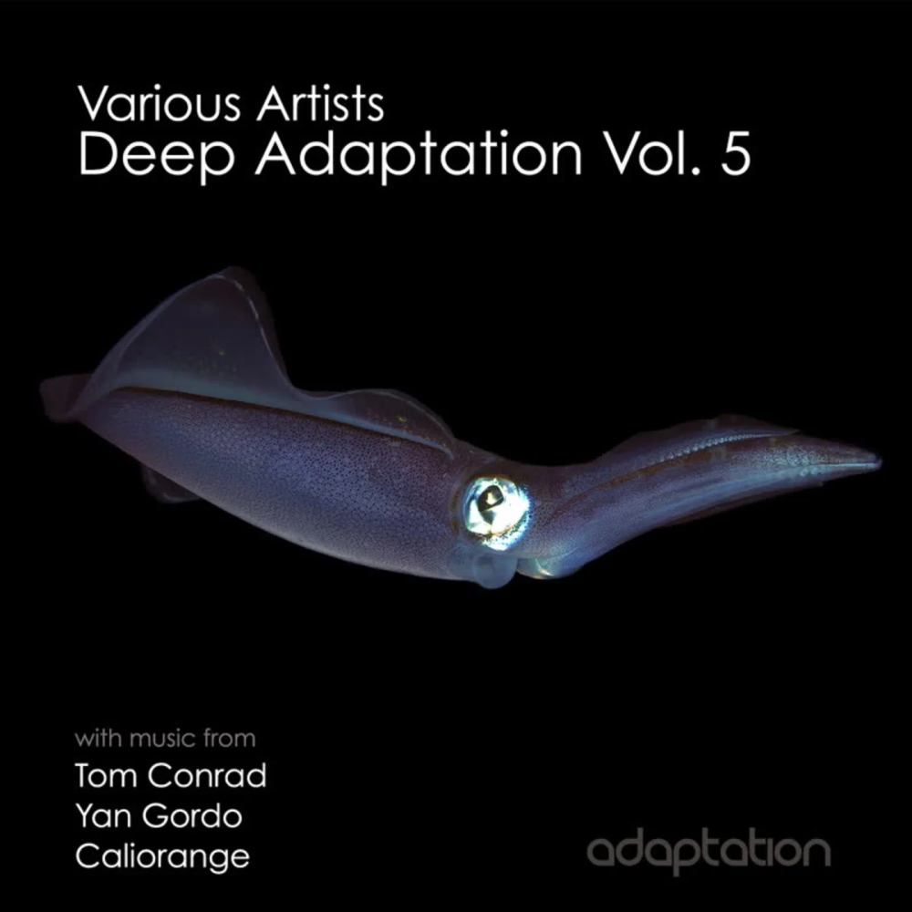 Deep Adaptation, Vol. 5 1000x1000.jpg