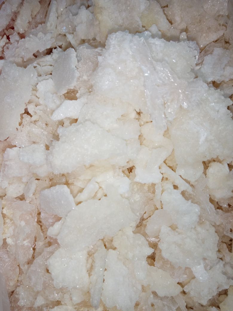 крисы спб4кг.jpeg