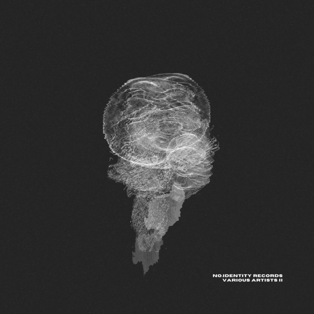 Various Artists II 1000x1000.jpg